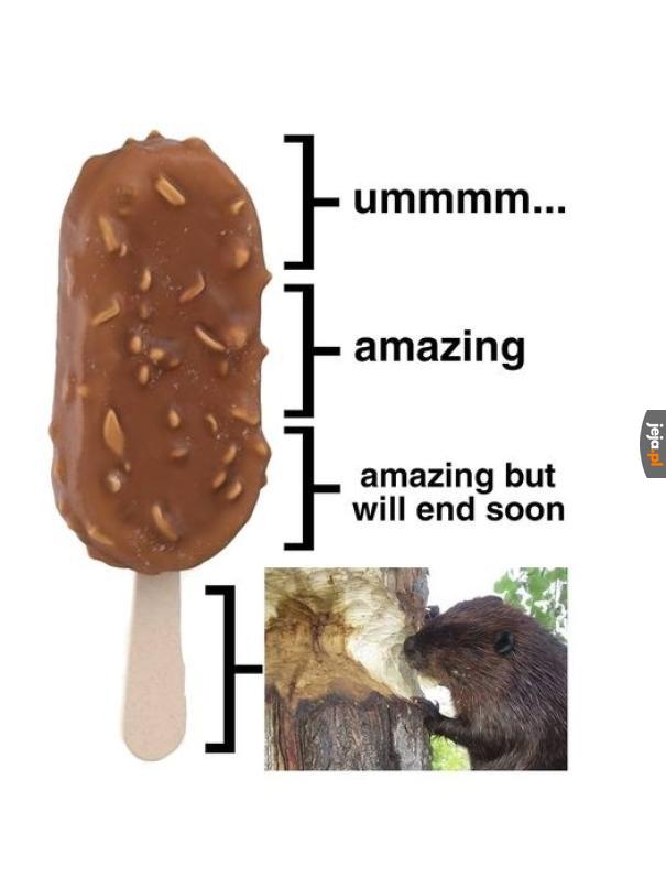 Bober ku*wa