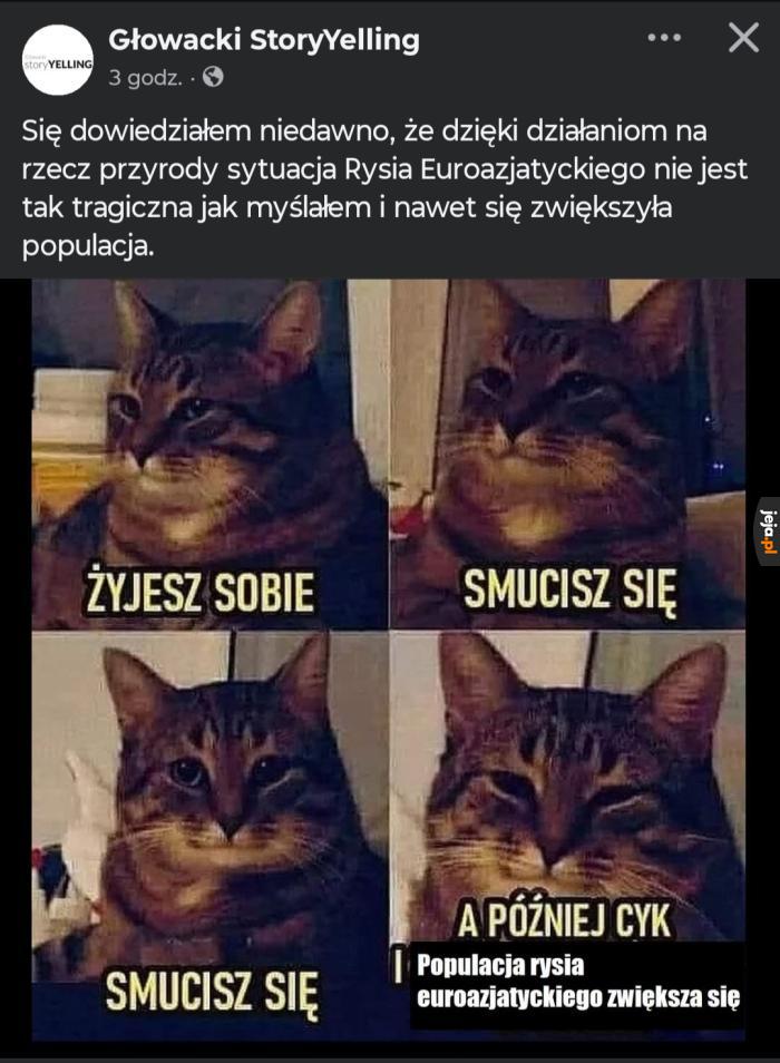 Małe zwycięstwo