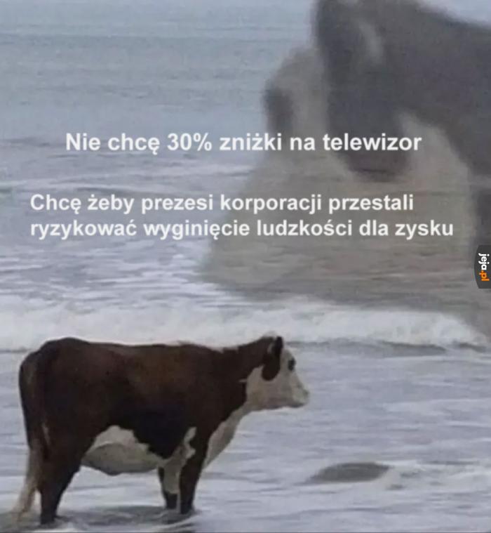 Pomarzyć zawsze wolno
