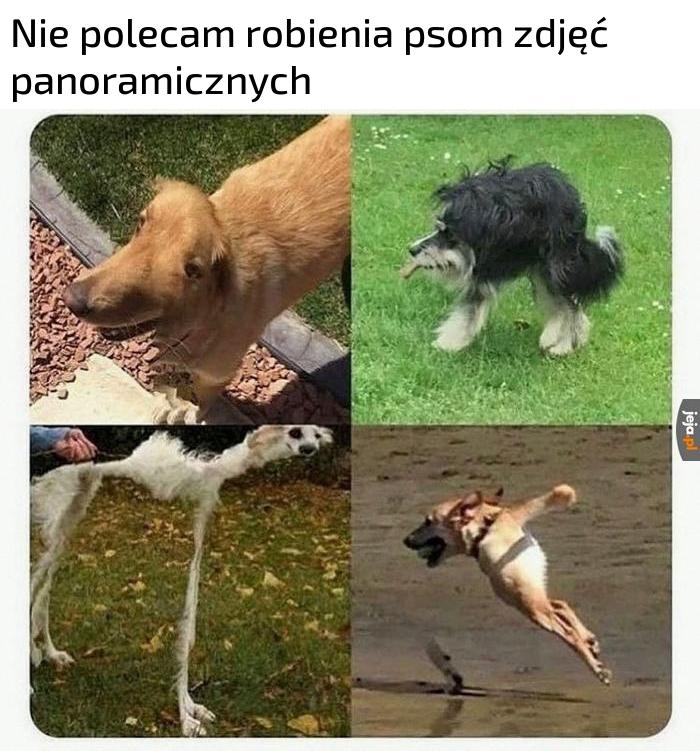 Lepsze są krzyżówki tego typu