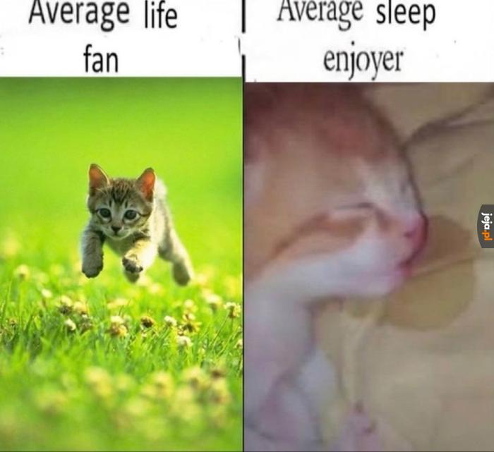 Ja to ten po prawej