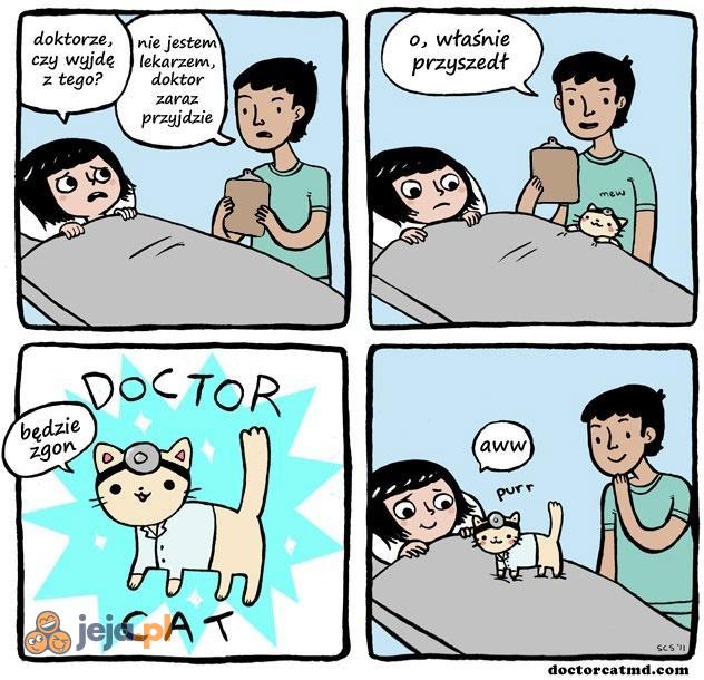 Lekarz idealny