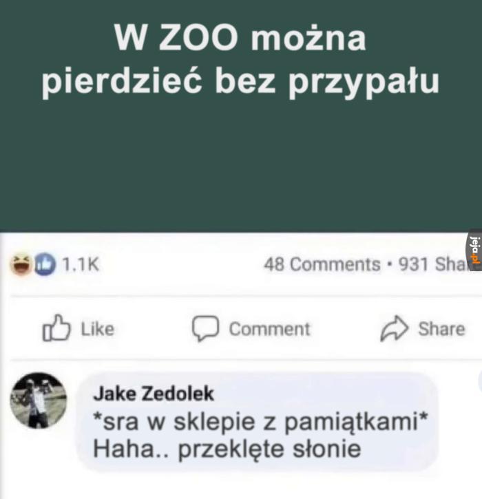 Nikt się nigdy nie domyśli
