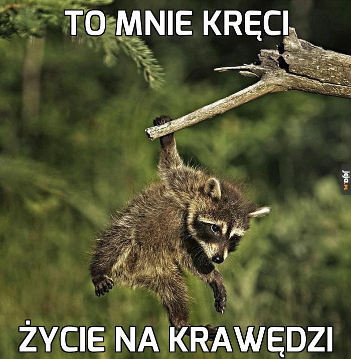 Nie jestem zwykłym szopem