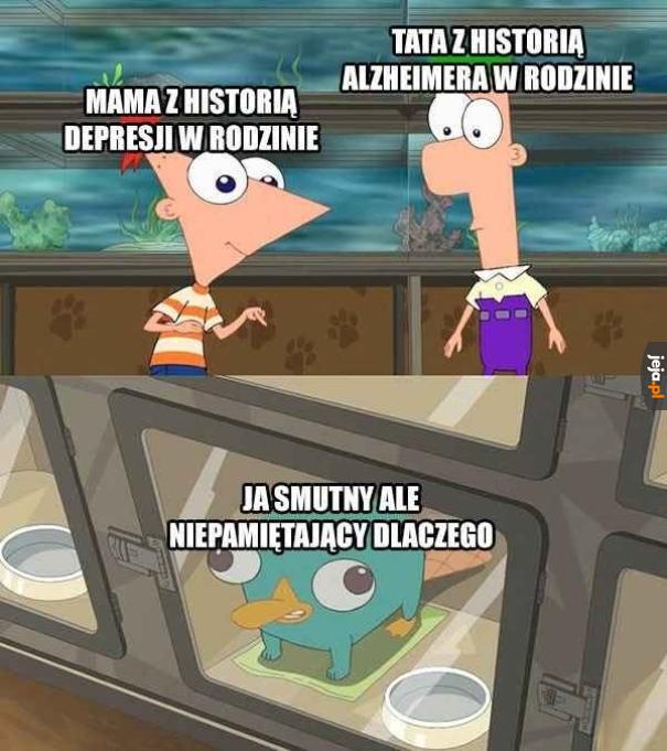 Cóż za mix