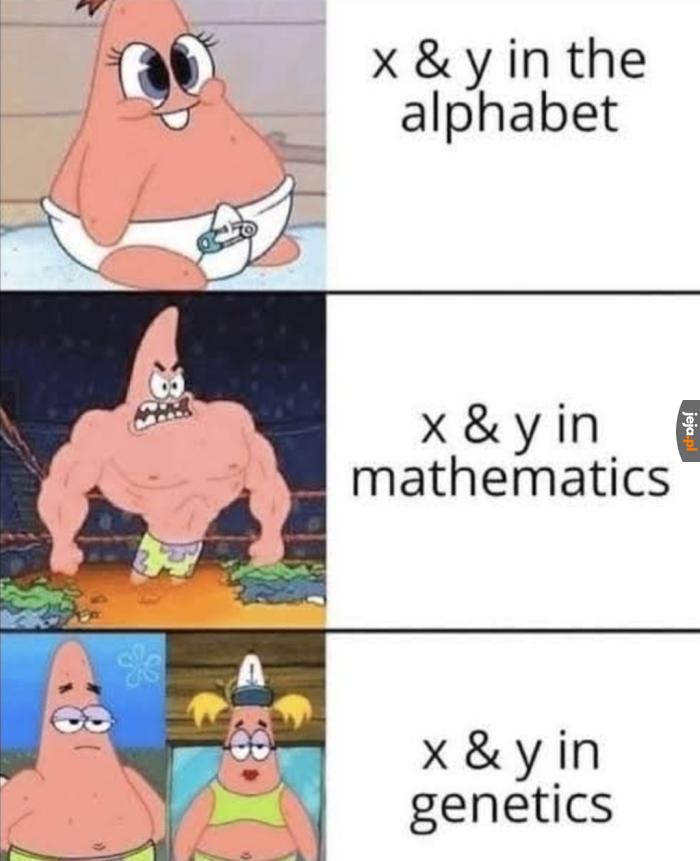 Potęga