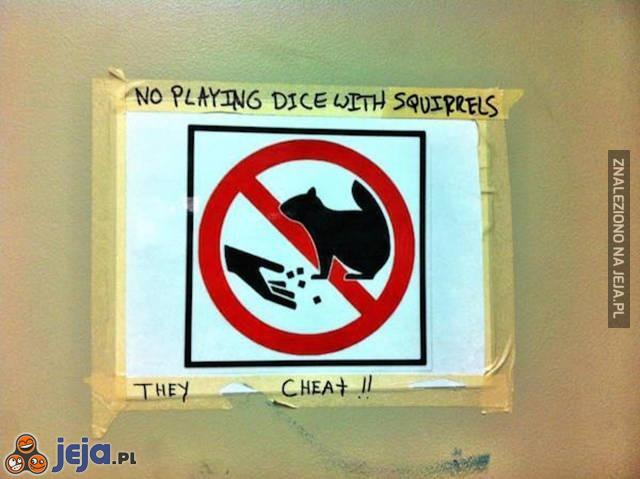Nie grać w kości z wiewiórkami