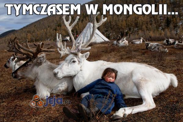 Tymczasem w Mongolii...