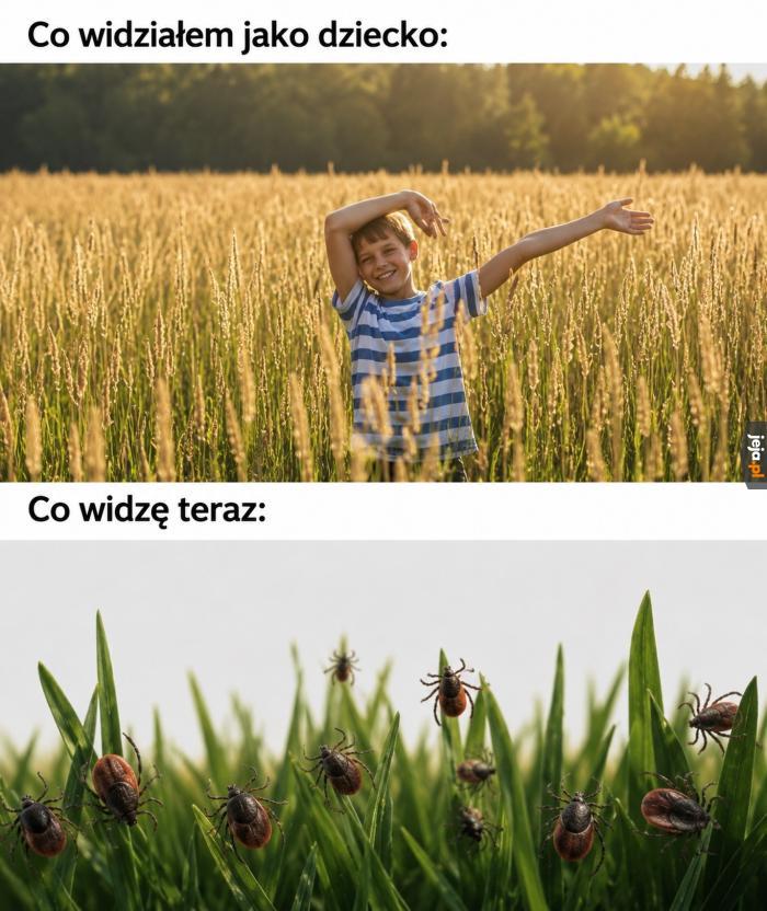 Nie znoszę kleszczy