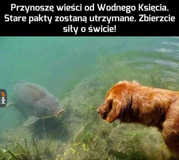 Rohan odpowiedział!