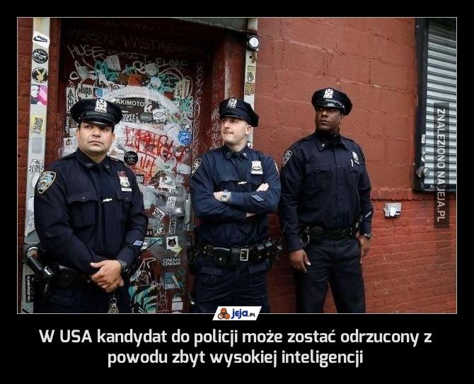 W USA kandydat do policji może zostać odrzucony z powodu zbyt wysokiej inteligencji