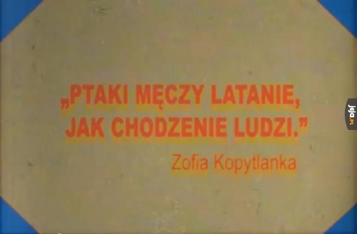 Cytat z krainy grzybów