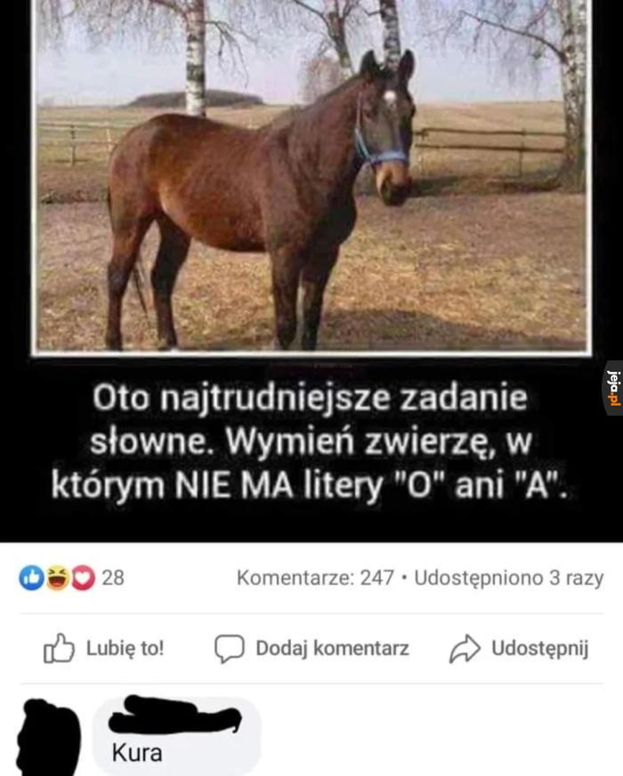 Kurde nie wpadłbym na to