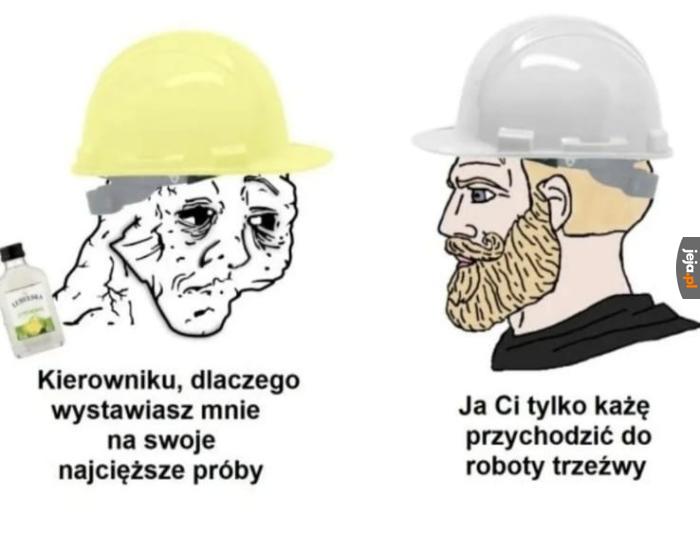 Tytuł poszedł po małpkę