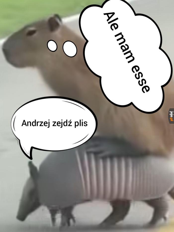 Małe conieco dla grzecznych dzieci
