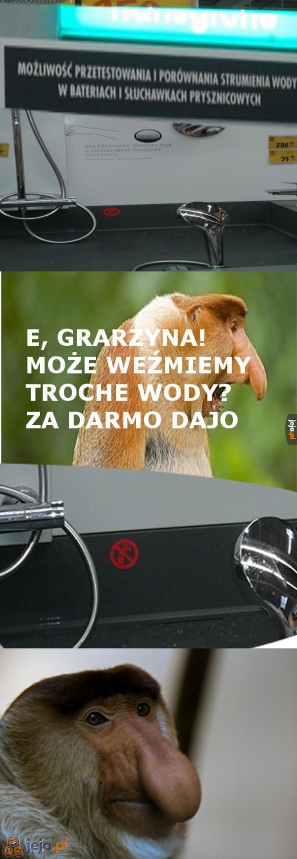 Oszczędności przeleciały koło nosa