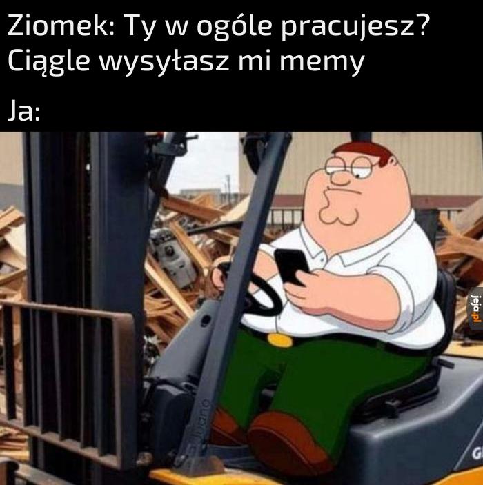 Owszem