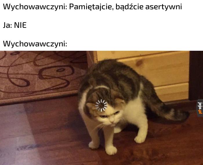 Nie i koniec