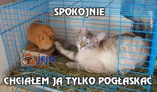 Spokojnie, chciałem ją tylko pogłaskać