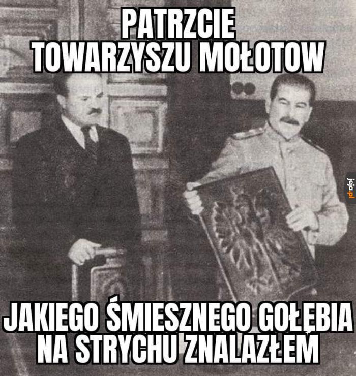 Takiego gołembia co żem jeszcze nie widział