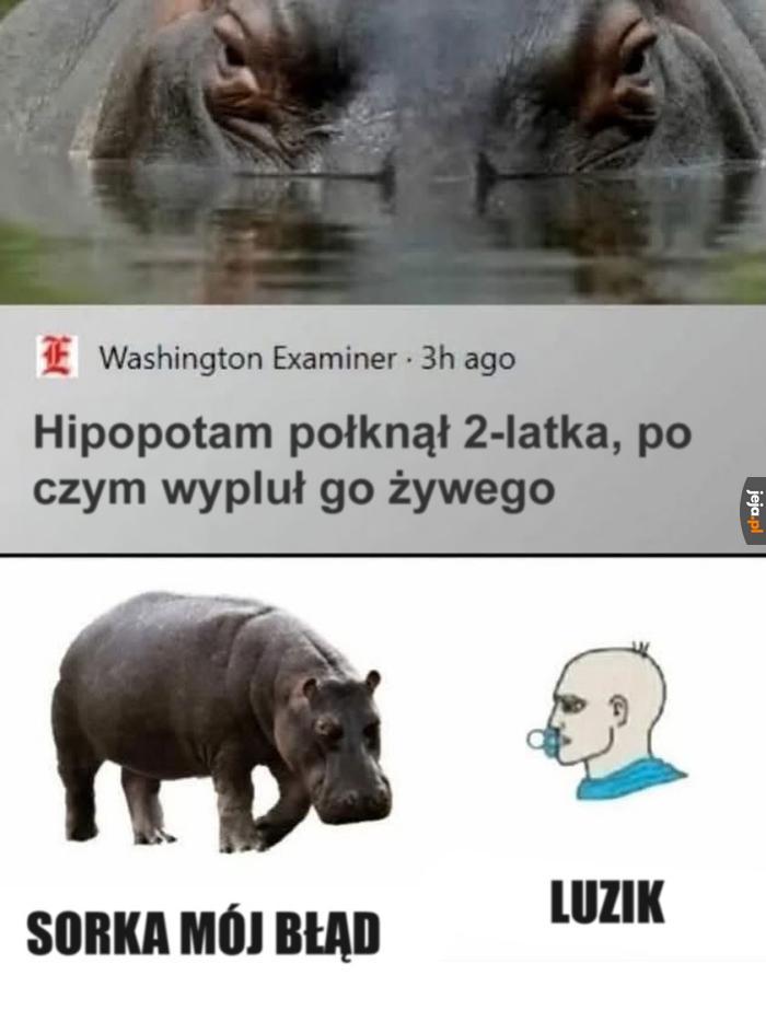 Zdarza się