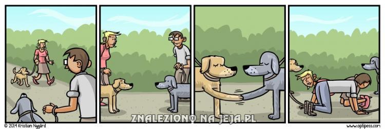 W alternatywnym świecie