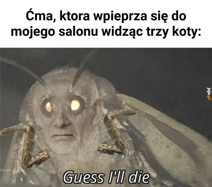 Wypuścić lwy!