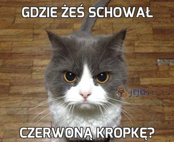 Gdzie żeś schował