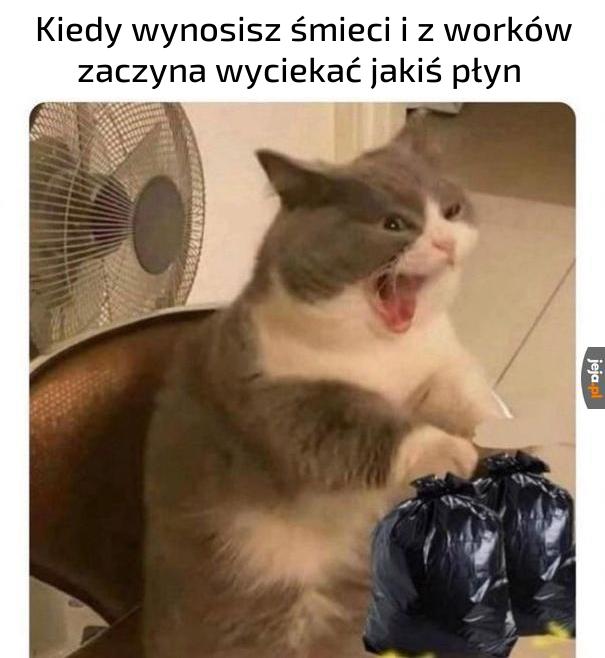Fujka
