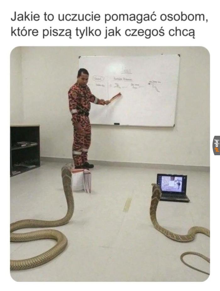 Żmije