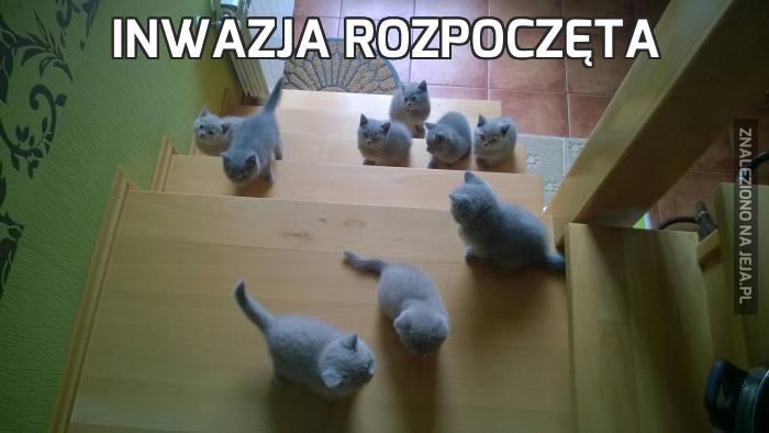 Inwazja rozpoczęta