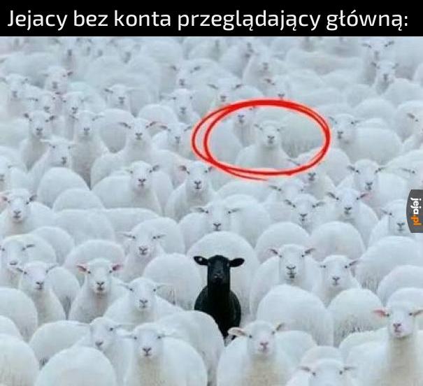 Ciekawe czy czasem patrzą w komentarze
