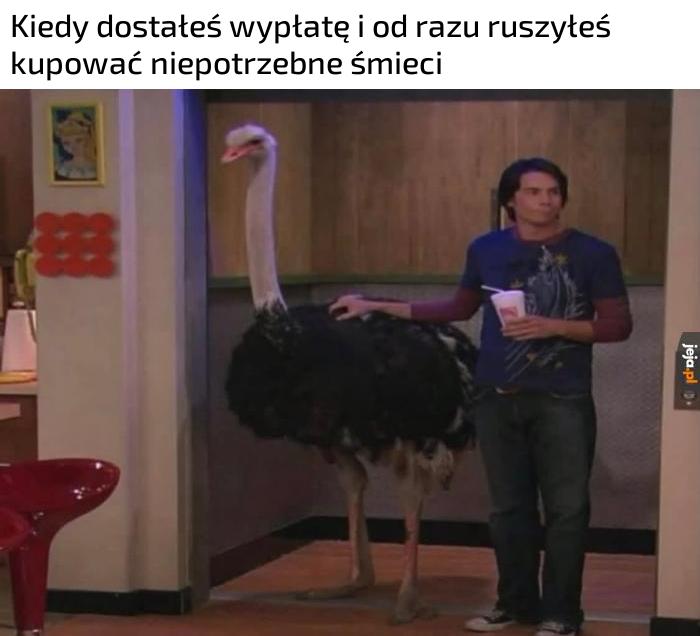Jestem impulsywny