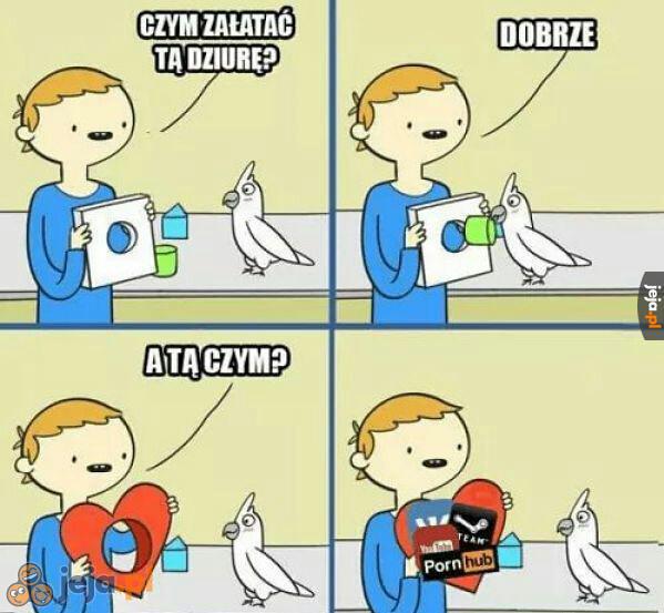 Mądra ptaszyna