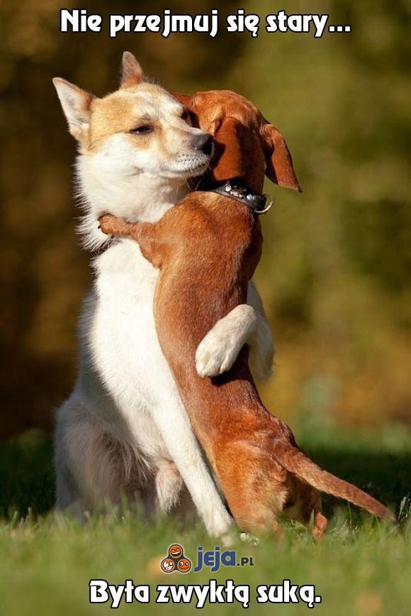 Gdy psy się przytulają...