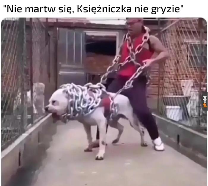 Połyka w całości