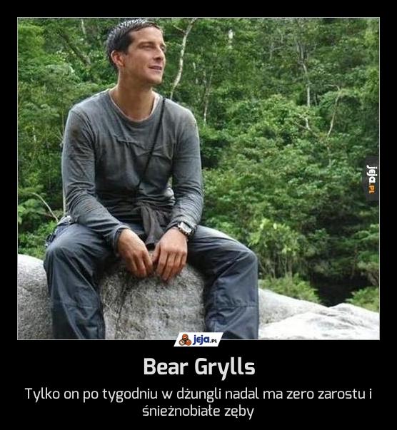 Bear Grylls