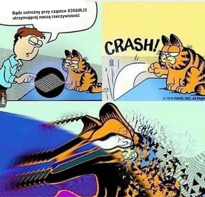 Garfield ma to gdzieś