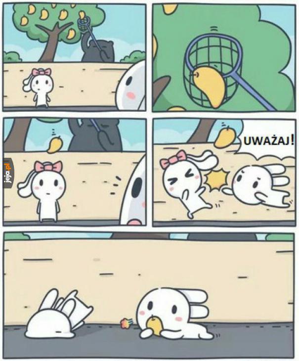 Uwaga!