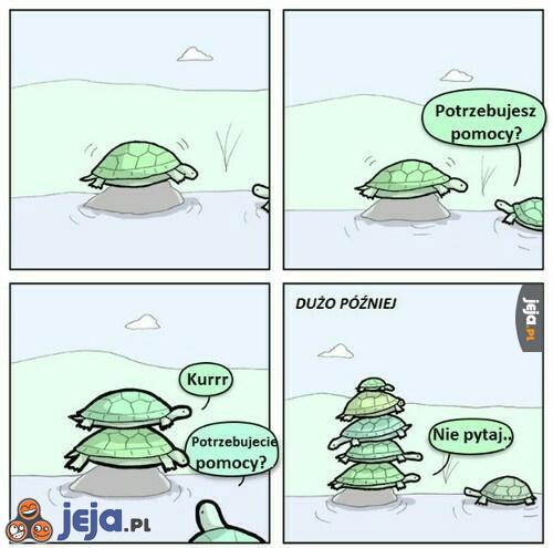 Żółwia pomoc