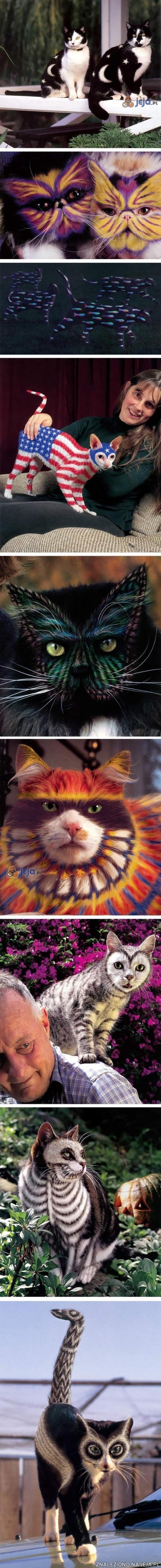 Koty po Photoshopie