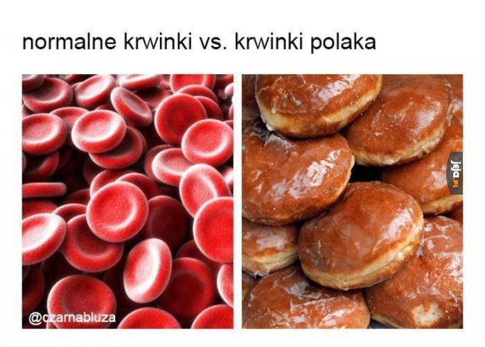 Polska krew