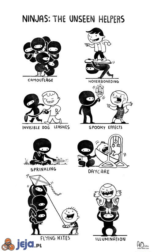 Ninja: Niewidzialni pomocnicy