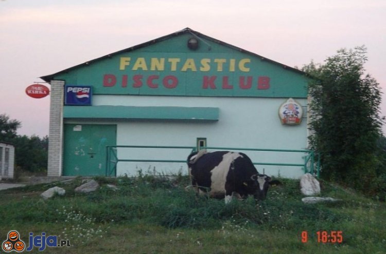 Fantastic Disco Klub