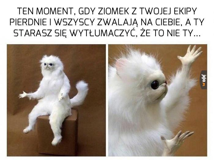 Ej, no kurde, no...
