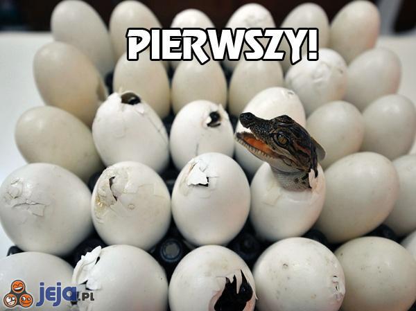 Pierwszy!