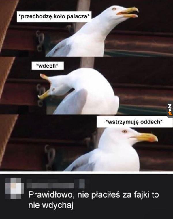 Chcesz oddychać to się dorzuć