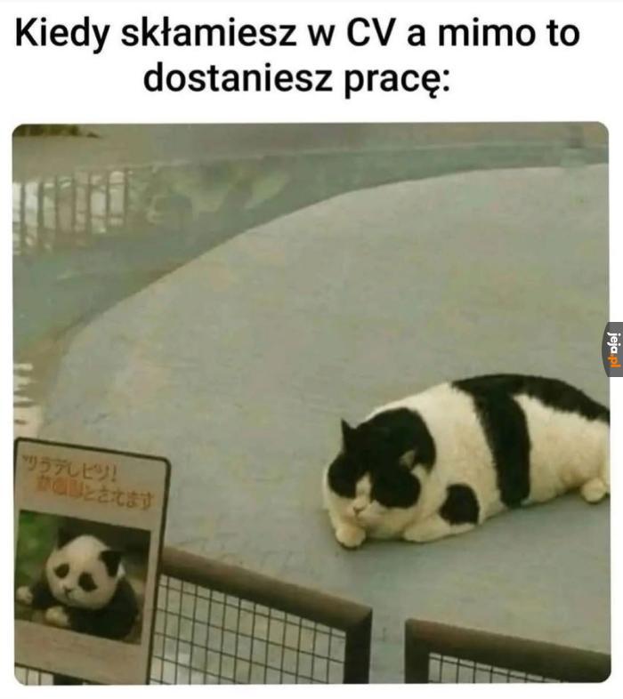 Przyuczę się