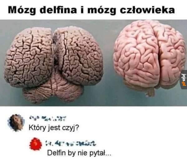 Wszystko jasne