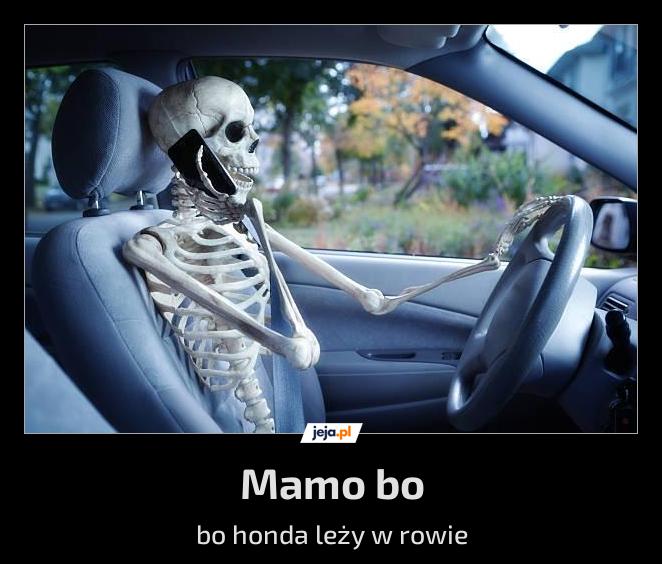 Mamo bo
